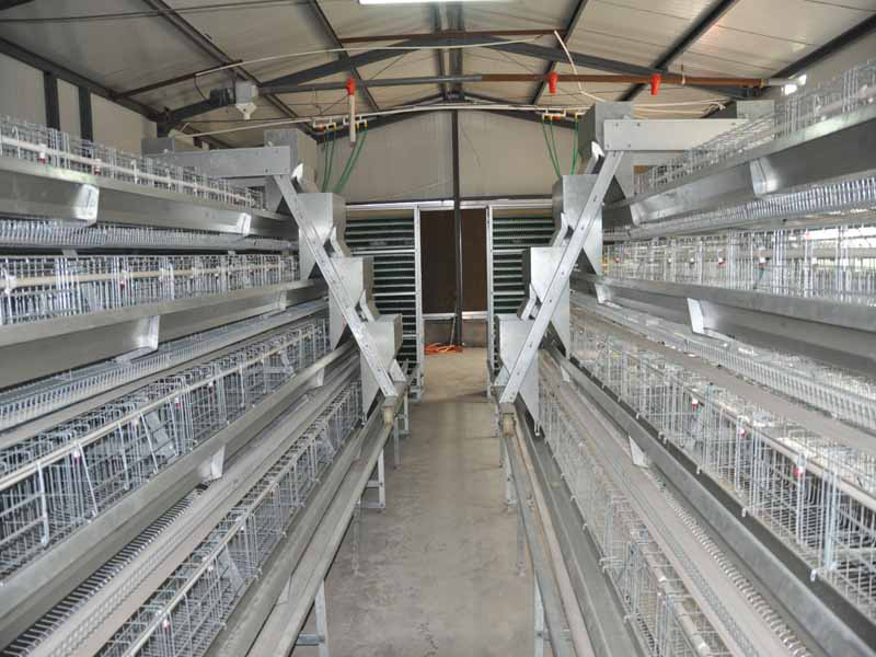 layer cages for sale