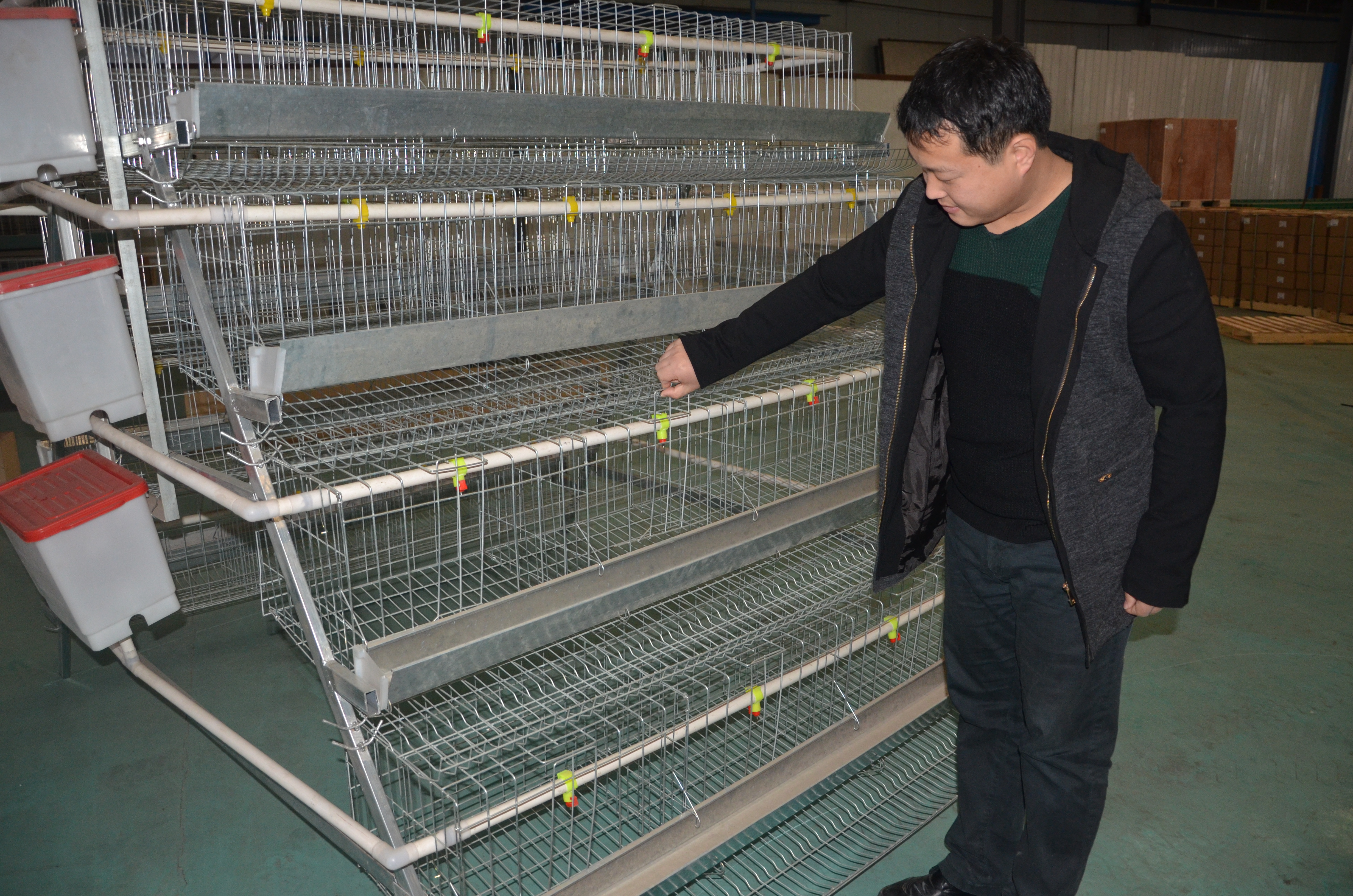 layer cages for sale philippines