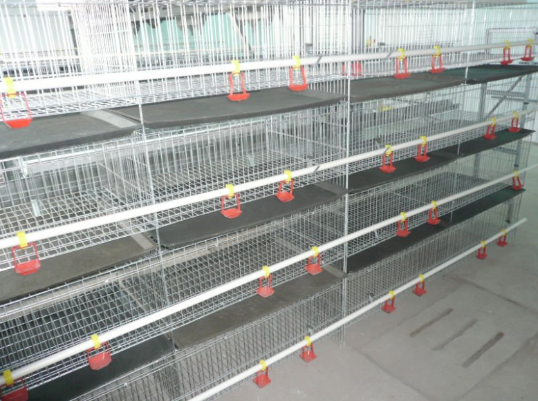 Broiler Cage