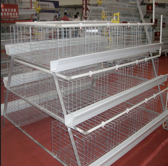 Broiler Cage