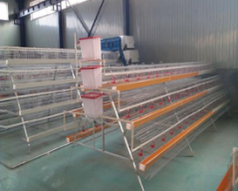  Why broiler cage is better than feeding broiler on ground ?