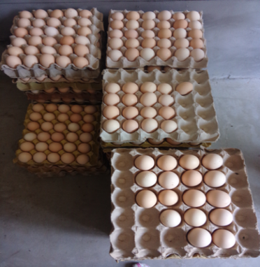 The advantage of paper egg tray