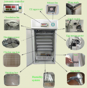 Automatic Chicken Egg Incubator Sale