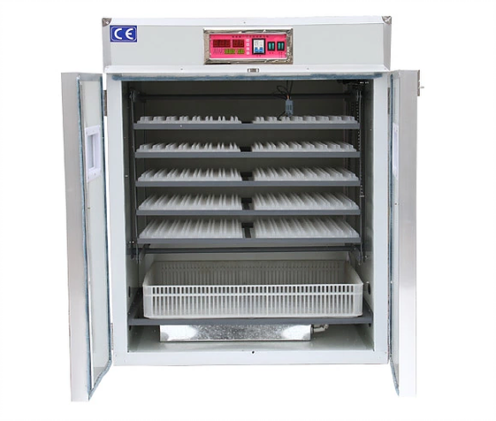 Automatic Chicken Egg Incubator Sale