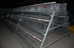  High Quality Layer Cage Features for Egg Laying Chicken