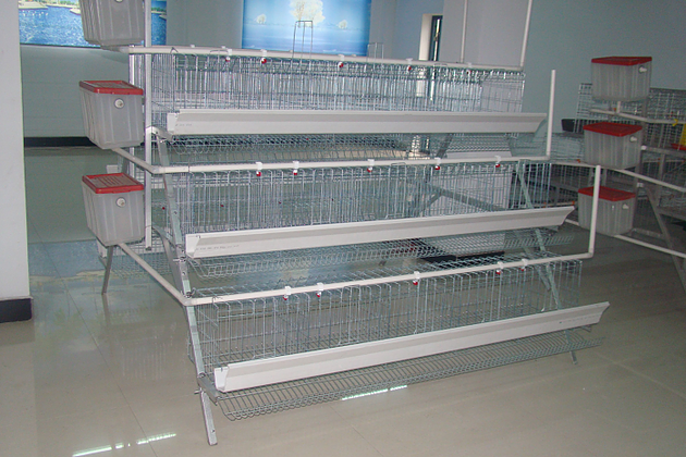 Layer Cage Features for Egg Laying Chicken