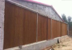  How choose water curtain in chicken coop
