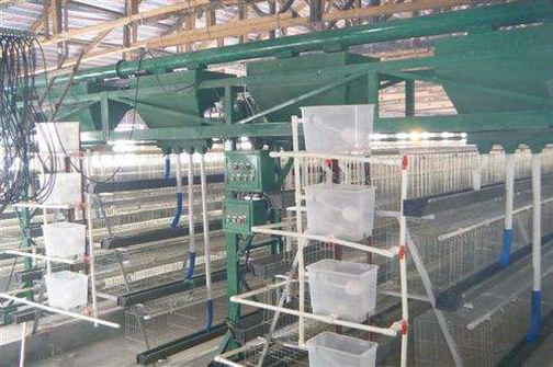  High Quality Automatic Feeding Machine