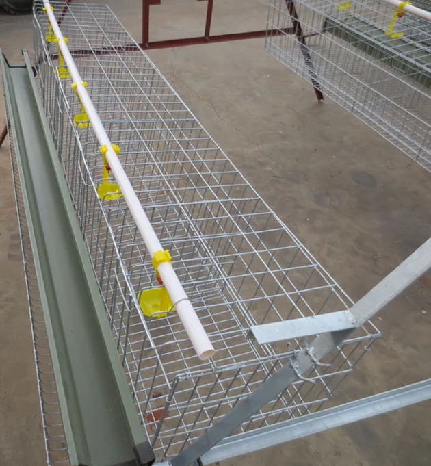 How to choose chicken cage？