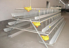 advantages of Broiler cage