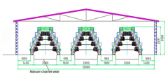  How to design layer chicken cage