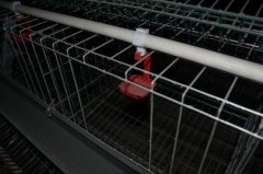  High Quality Layer Cages