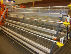 Layer Cage Features for Egg Laying Chicken Cage
