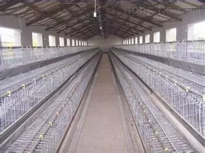  Wire chicken cage note