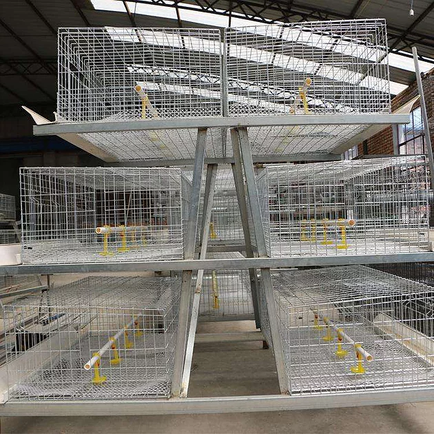  Select Broiler Cage What Needs Attention