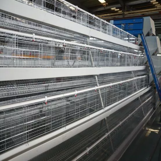  How to clean chicken cage