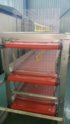  Four points of purchasing broiler cages