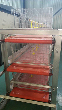  Four points of purchasing broiler cages