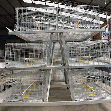  Broiler breeding equipment construction three big notice