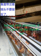  QUNKUN tells you how to install the egg collection system