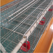  Hen Cages with High Quality