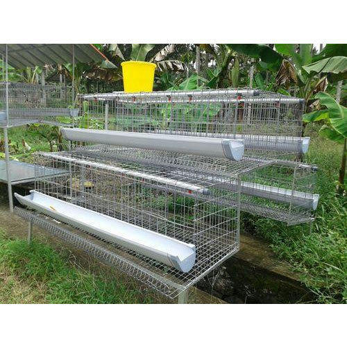 China Supplier Chicken Layer Cages for Sale in South Africa