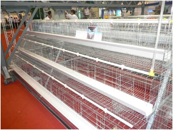 The design  for Chicken cage with many advantages