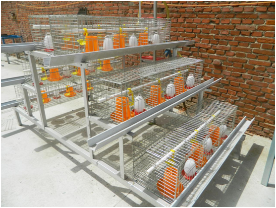 The design  for Chicken cage with many advantages