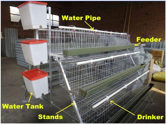 The design  for Chicken cage with many advantages