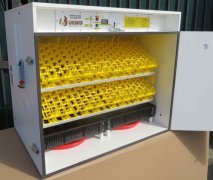 egg automatic incubator