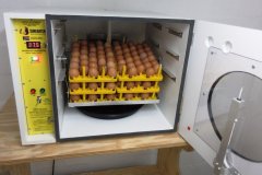How an egg incubator works