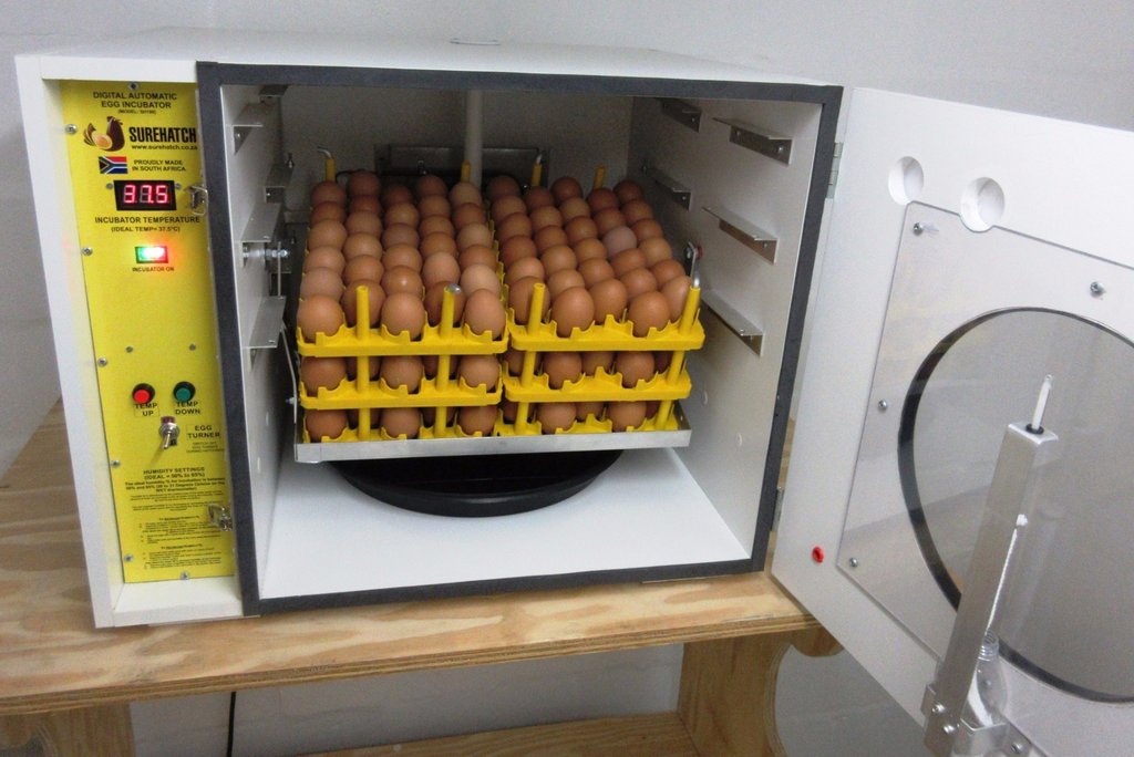 How an egg incubator works