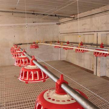 Broiler Feeding Line