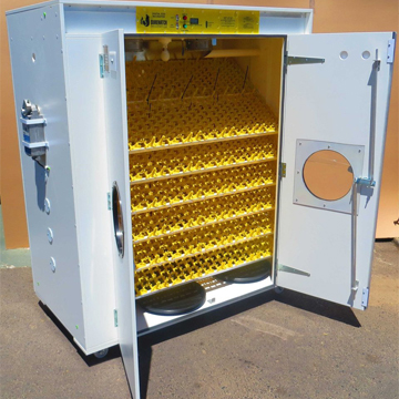 Egg Incubator