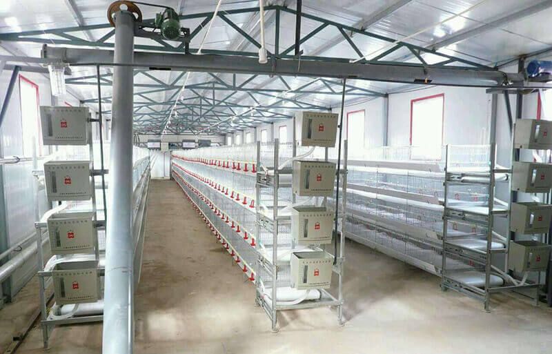 QunKun® - Broiler Cage