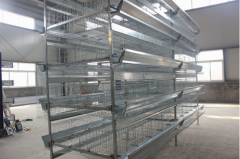 The importance of cleaning the broiler cage