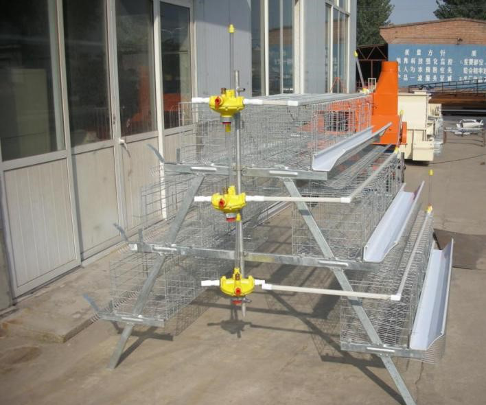 layer cages for sale Layer cages for sale