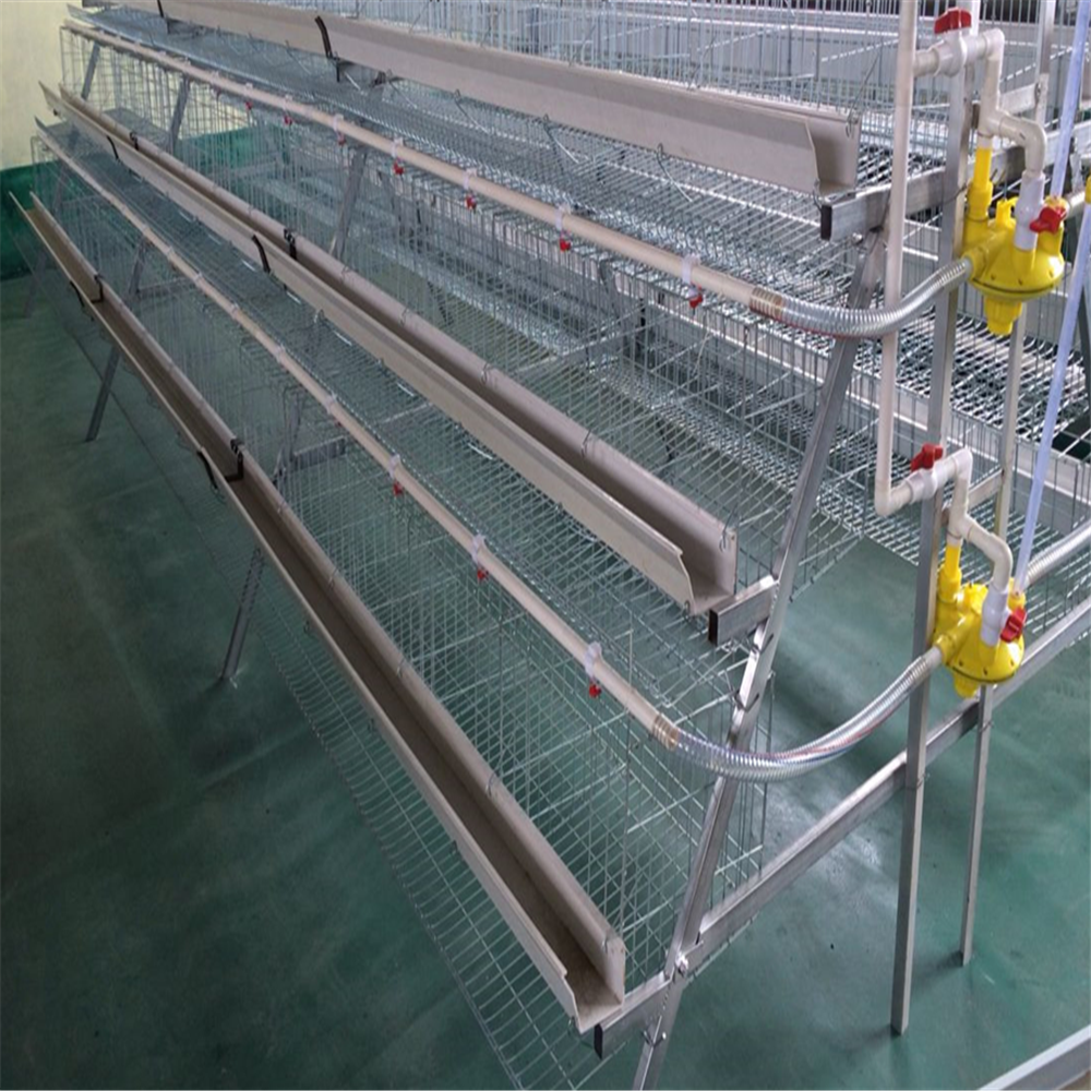 The chicken cage design