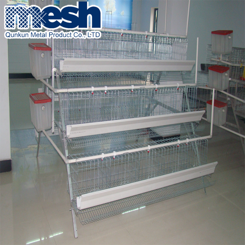 layer cage Some tips for raising chicken , what nutrition value does raise chicken with green onion have