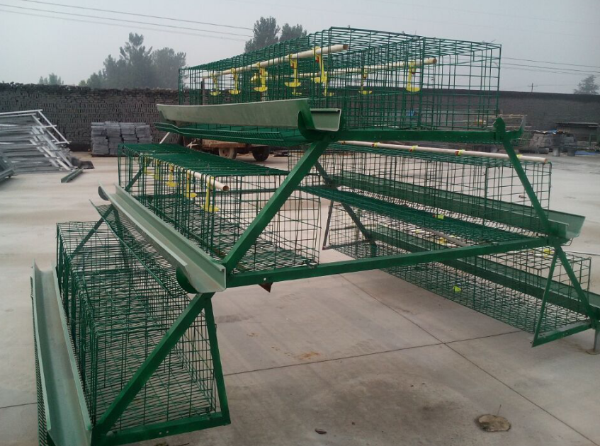 Chicken cage for sale, high quality chicken cage for your choice