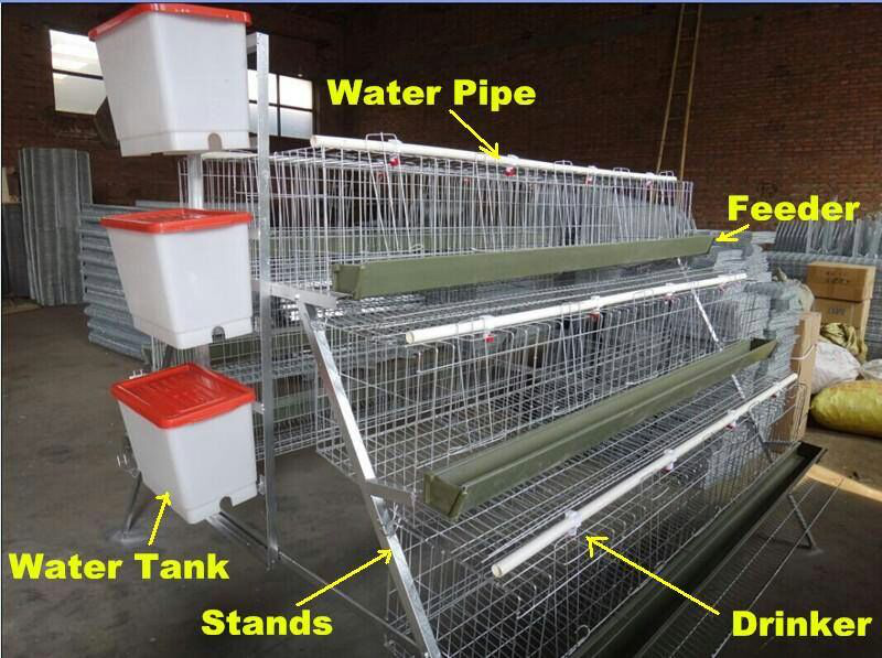 Chinese chicken cage for sale