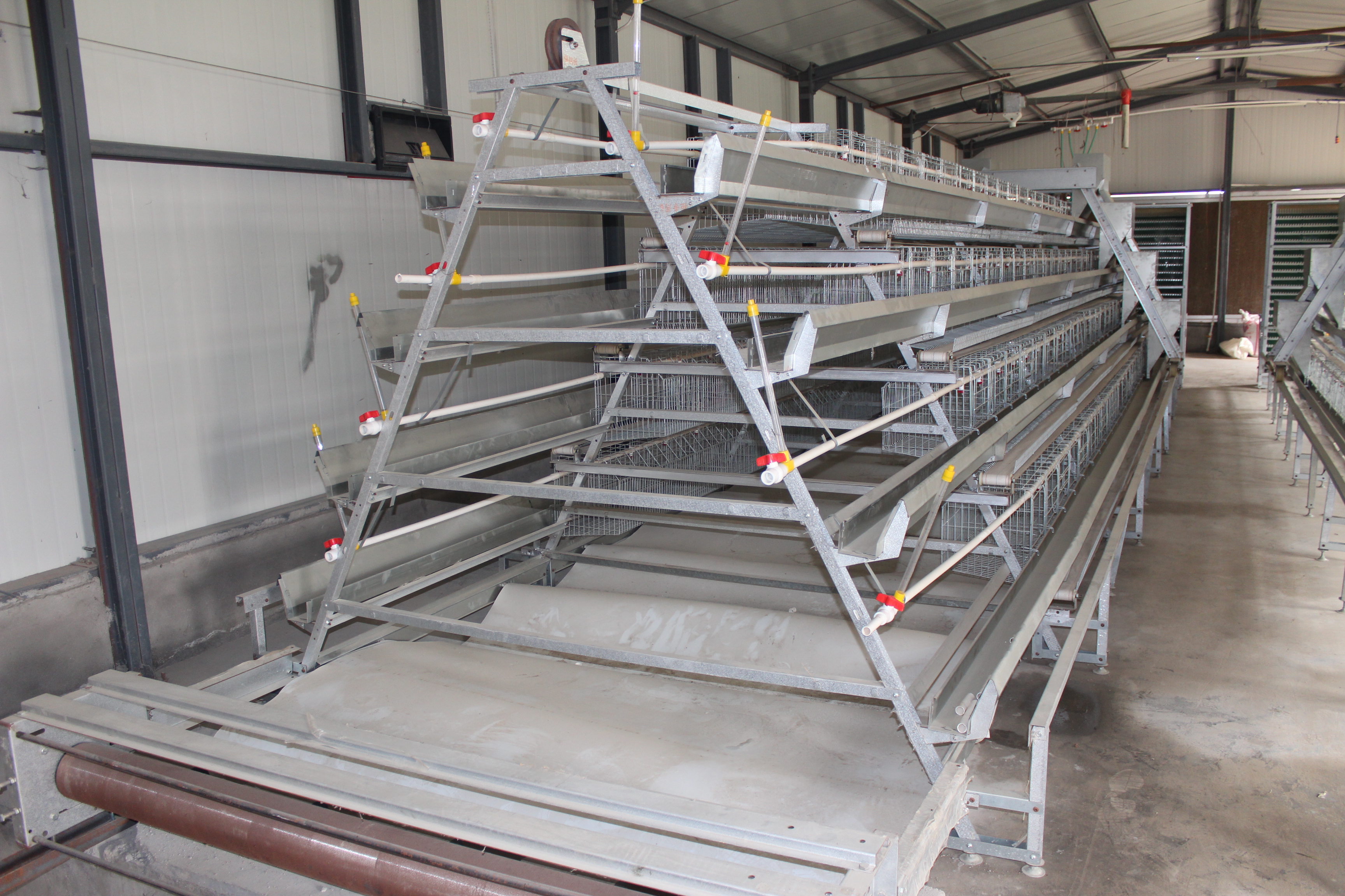 chicken cage feeders