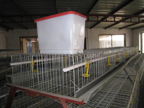 Egg laying chicken cages for sale