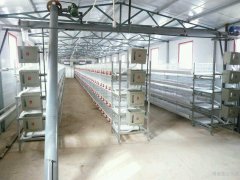 The price of broiler cages talks about the high cost of chicken cages
