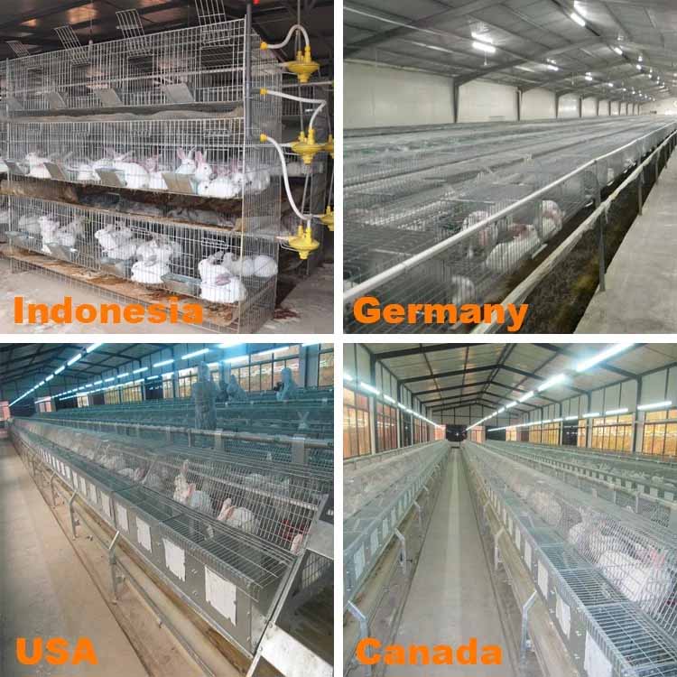 Rabbit cage chinachickencage