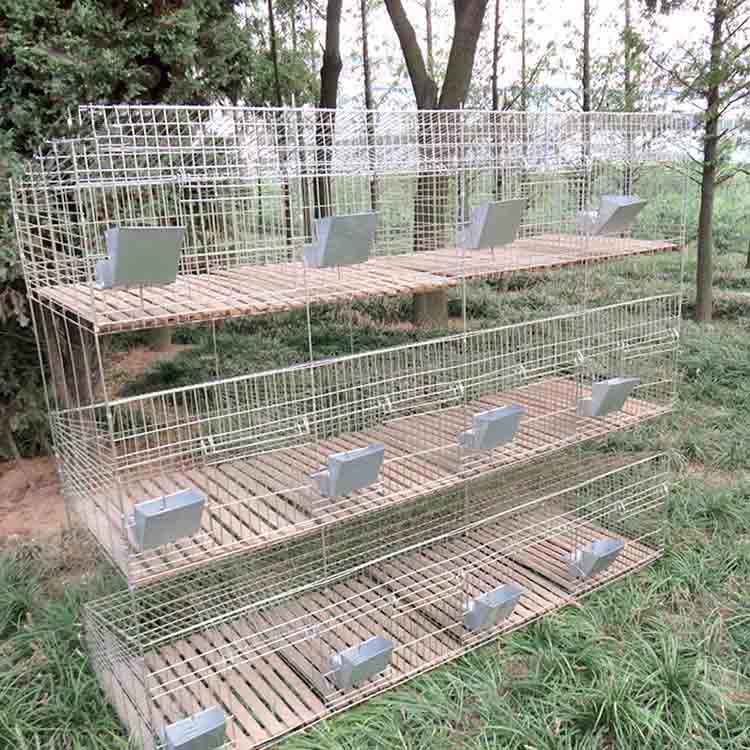 Rabbit cage