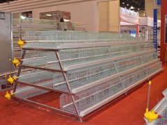 Different forms of chicken houses with different equipment