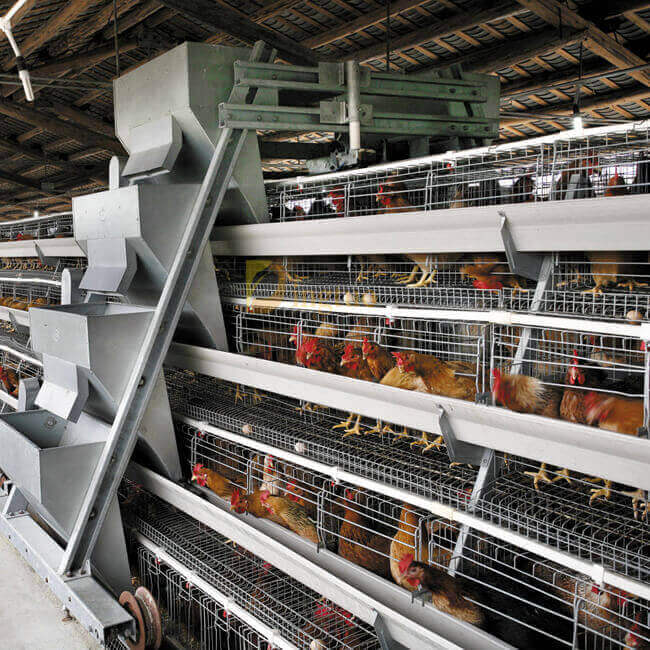 Product definition for laying chicken cage