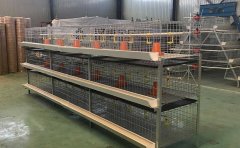 Broiler cage equipment