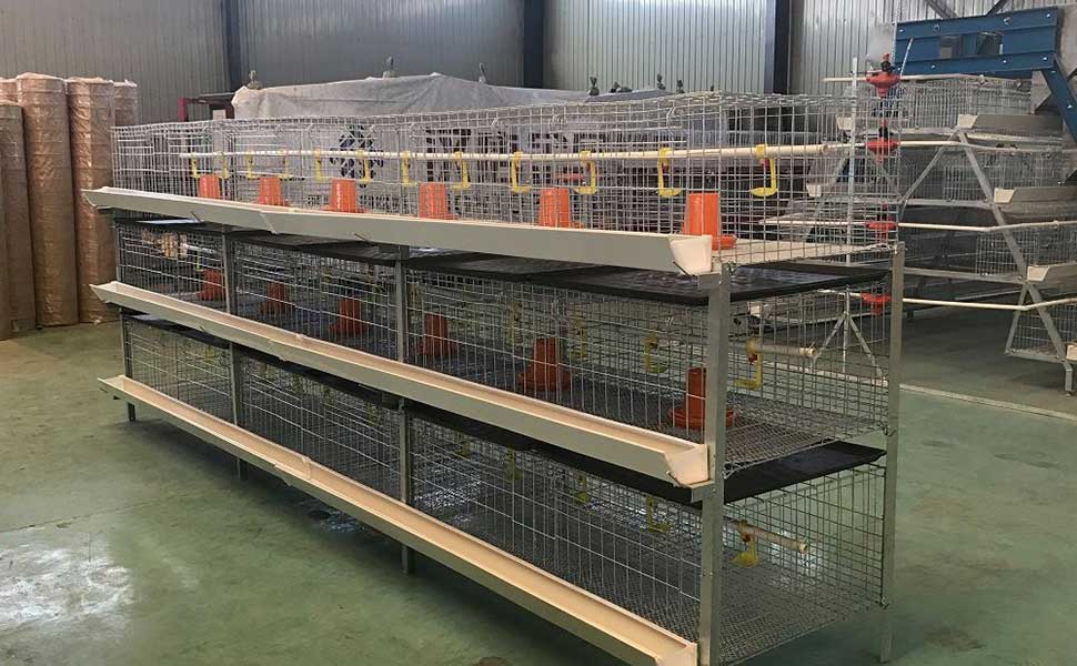 How to clean broiler cage equipment